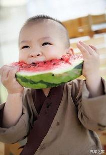 摆烂萌娃吃瓜视频全集免费观看,全集免费观看，笑料连连  第2张