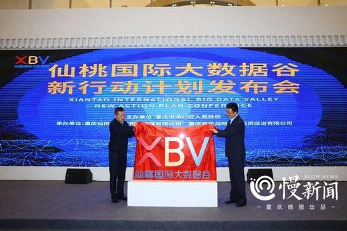 仙桃最新爆料事件新闻发布会,新闻发布会揭秘真相与进展  第2张