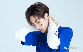 娱乐圈爆料刘宇宁刘诗诗,刘宇宁与刘诗诗的神秘恋情浮出水面