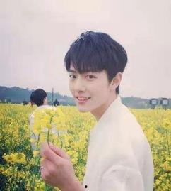 娱记爆料杨紫肖战视频,幕后真相引网友热议  第1张