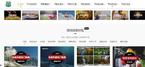 爆料新闻 视频素材库在哪,爆料新闻视频素材库的秘密藏身之地 第1张 爆料新闻 视频素材库在哪,爆料新闻视频素材库的秘密藏身之地 第1张